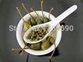 کبر